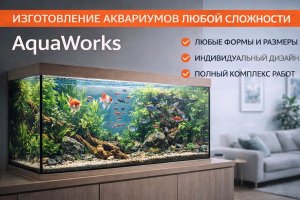 Изготовление аквариумов любой сложности: что важно знать о проектировании, материалах и обслуживании