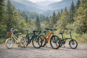 Типы велосипедов: их ключевые отличия и назначение