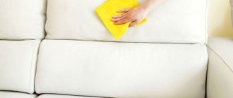 (28 photos) How to clean a light-colored sofa at home