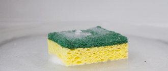 Sponge on a stand in the microwave
