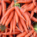 Storing carrots in winter