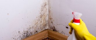 getting rid of mold with hydrogen peroxide