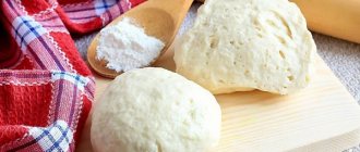how to store yeast dough in the refrigerator after rising