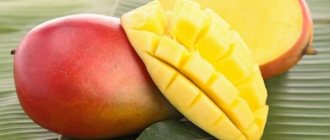 How to store mangoes so they don&#39;t spoil at home