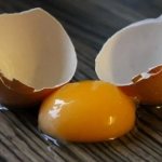 How to separate the yolk from the white in a raw egg and at home