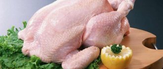 How can you tell if chicken has gone bad?