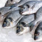 How to defrost fish correctly and quickly