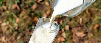 Как правильно кипятить (варить) молоко, чтобы не убежало