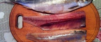 how to cut herring