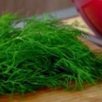 How to keep parsley fresh for the winter. How to store in winter at home? 
