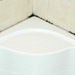 how to remove mold in bathroom tile joints at home