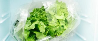 How to freeze lettuce leaves for the winter in the freezer