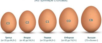 категории куриных яиц