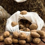 Methods for storing potatoes at home