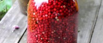 Soaked lingonberries. Recipe for a 3 liter jar for the winter 