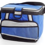 Pictured is a cooler bag that allows you to keep food fresh (or warm) during a short trip.