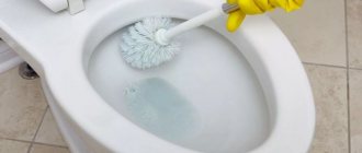 whiten toilet bowl at home quickly