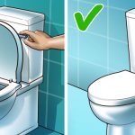 Open or close: which position to choose for the toilet lid