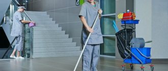 Responsibility of the management company for cleaning entrances and staircases