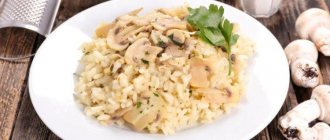Risotto with champignons - What to cook from champignons recipes
