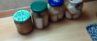 Lard in brine - the most delicious recipe in a jar for long-term storage