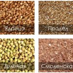 types of buckwheat