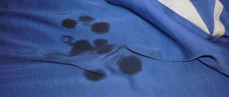 Grease-stain-on-clothing